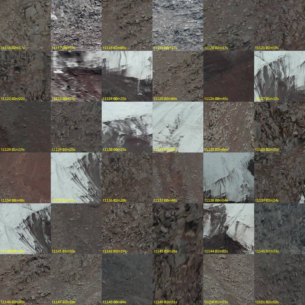 montage_31.jpg
