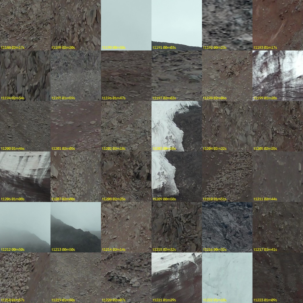 montage_33.jpg