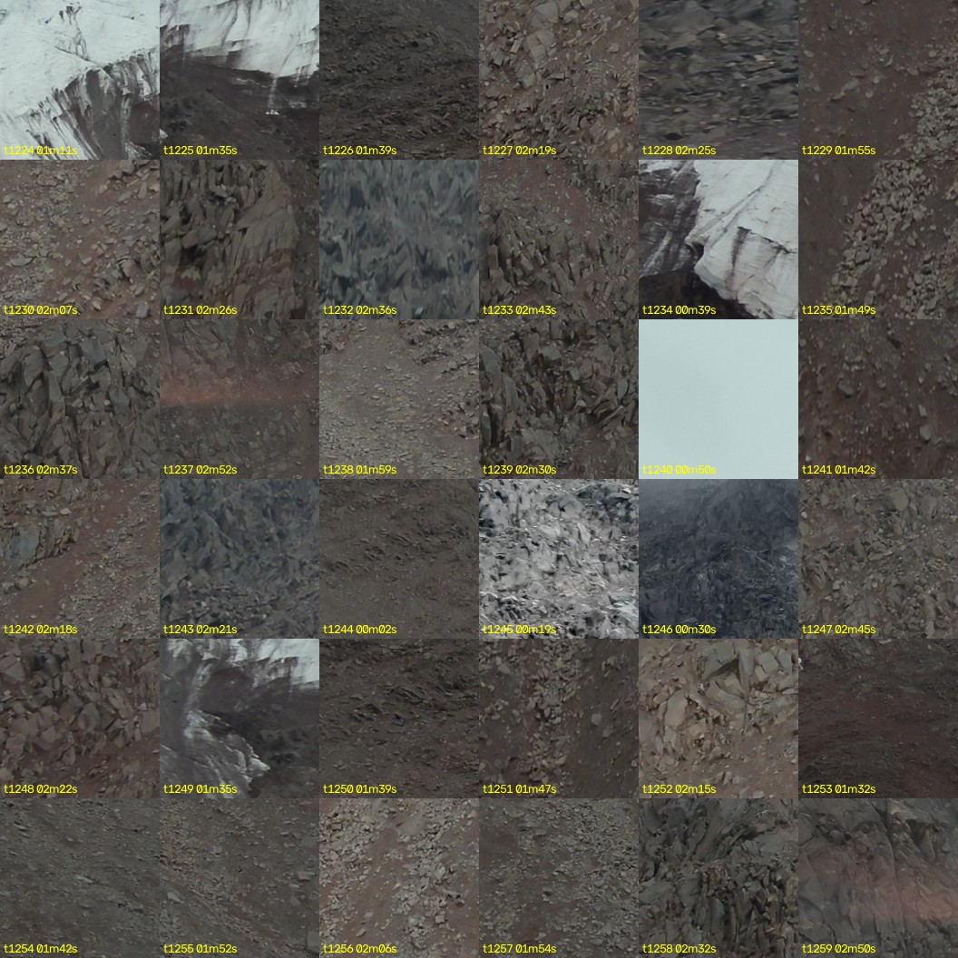 montage_34.jpg
