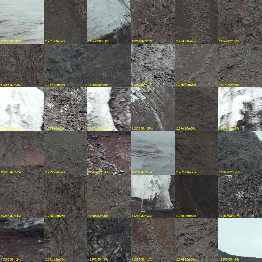 montage_35.jpg