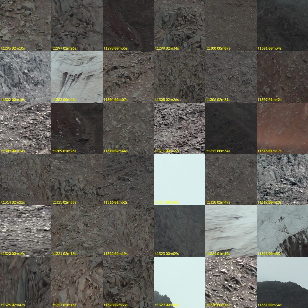 montage_36.jpg