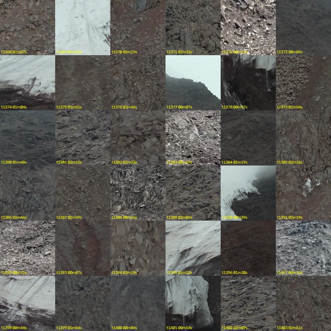 montage_38.jpg