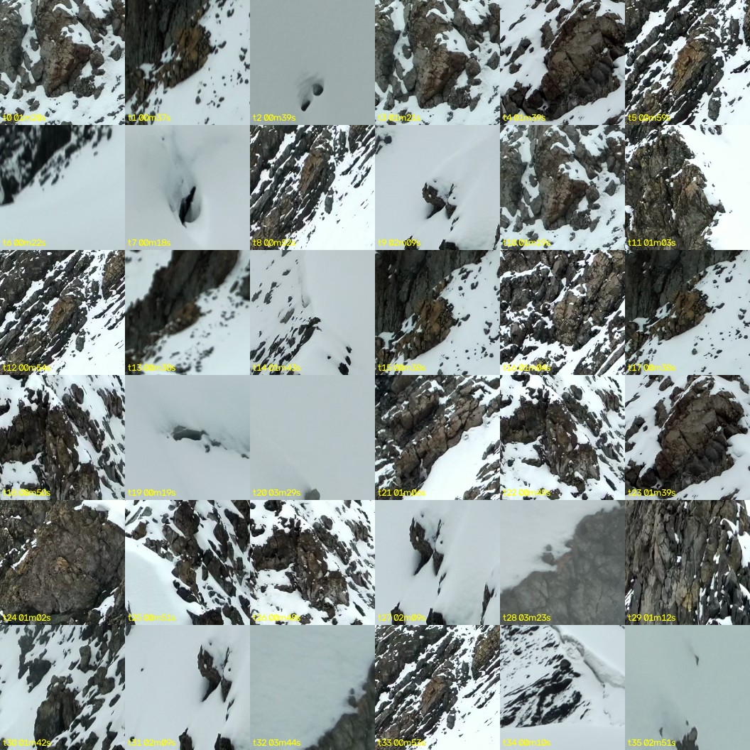 montage_00.jpg