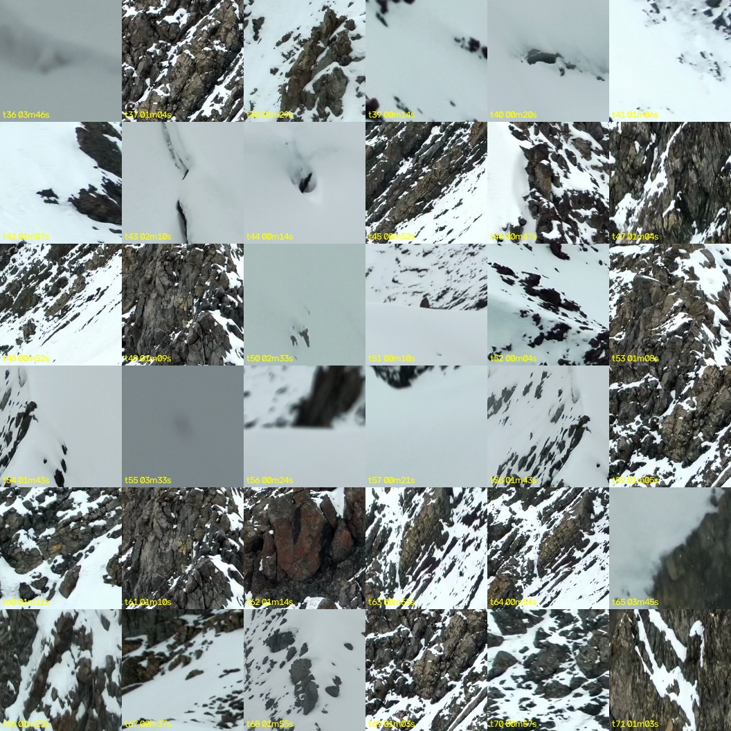 montage_01.jpg