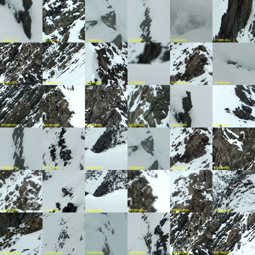 montage_02.jpg