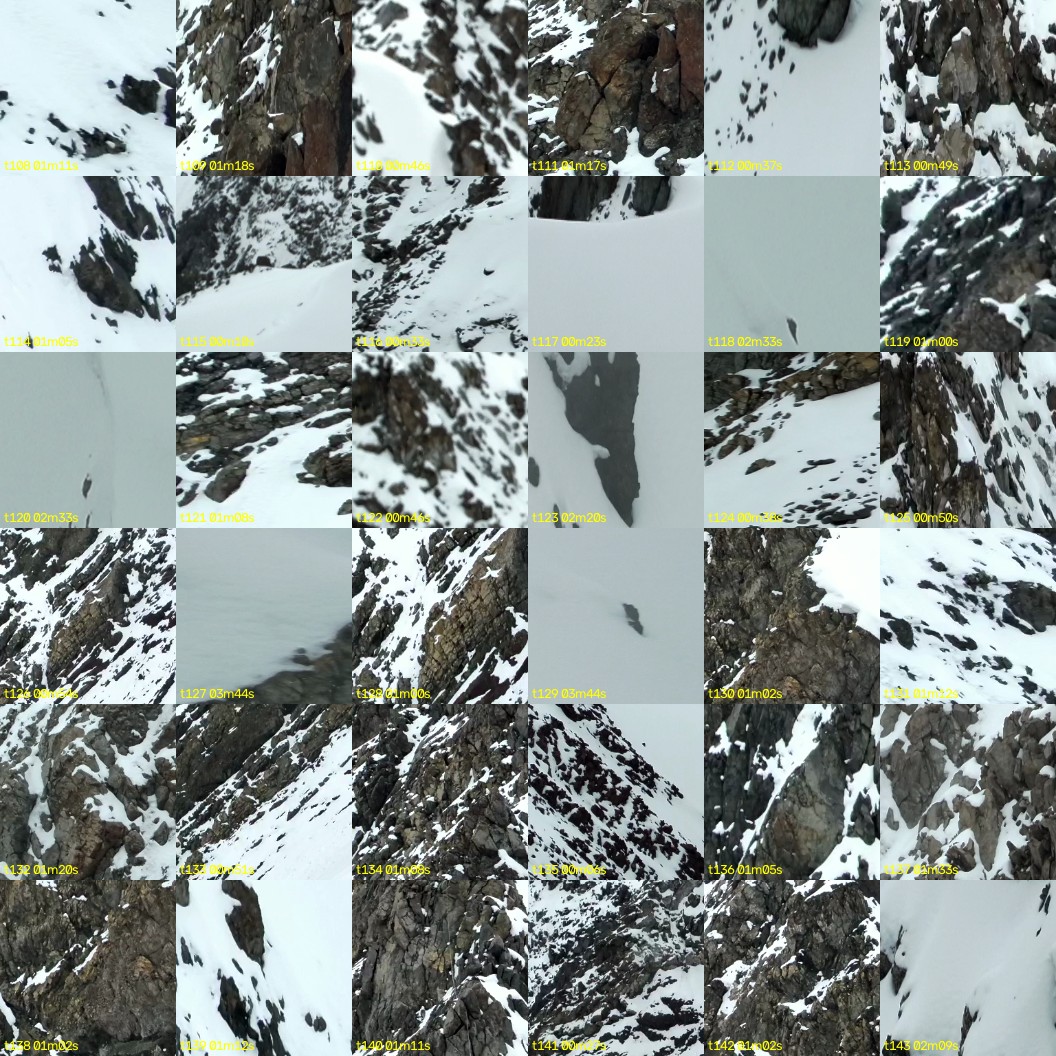 montage_03.jpg