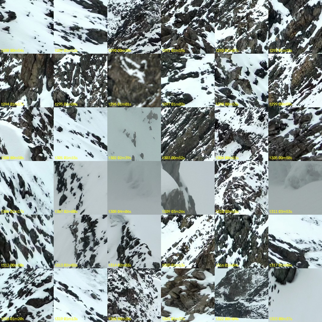montage_08.jpg