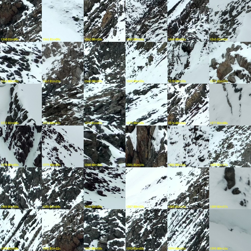 montage_10.jpg
