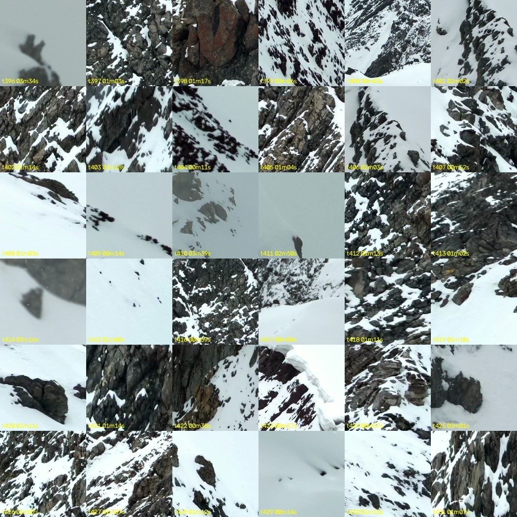 montage_11.jpg
