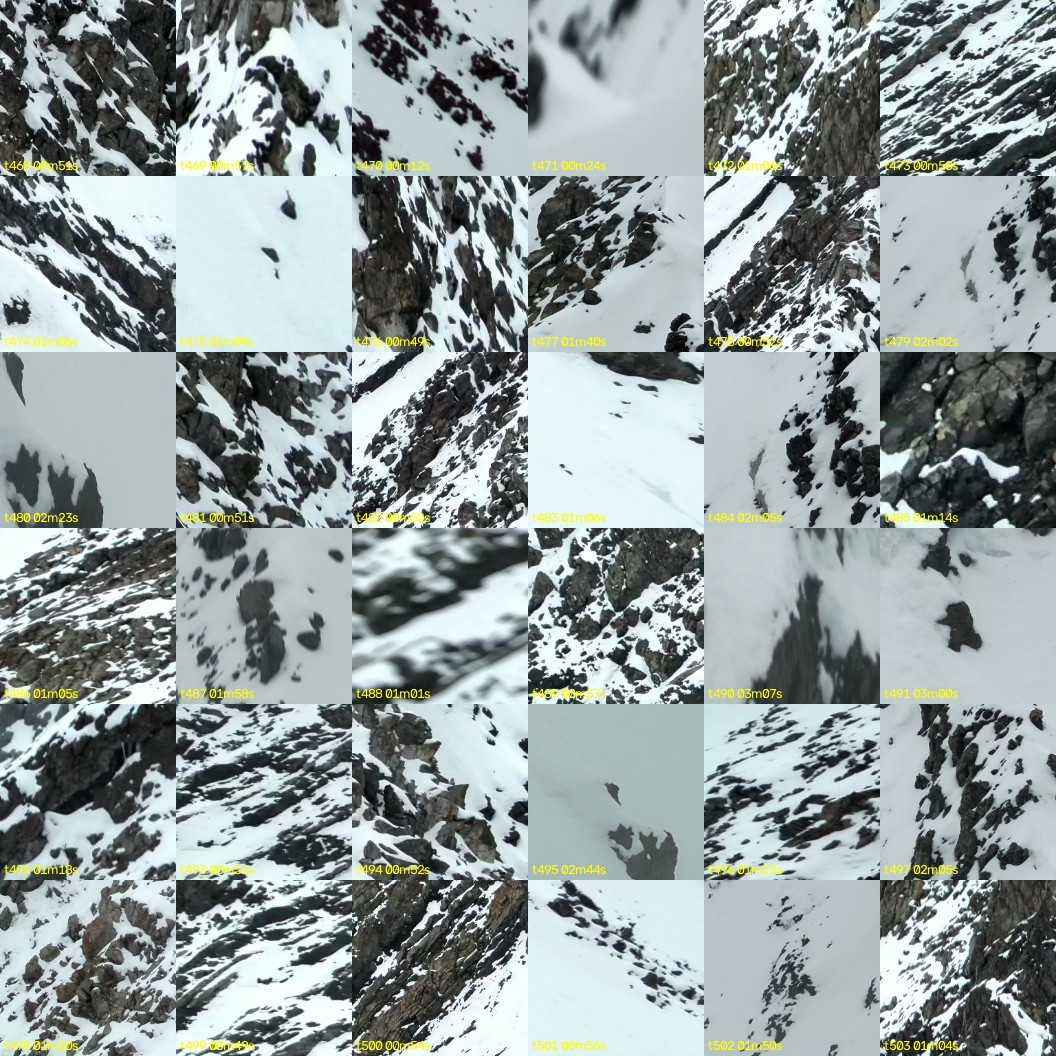 montage_13.jpg