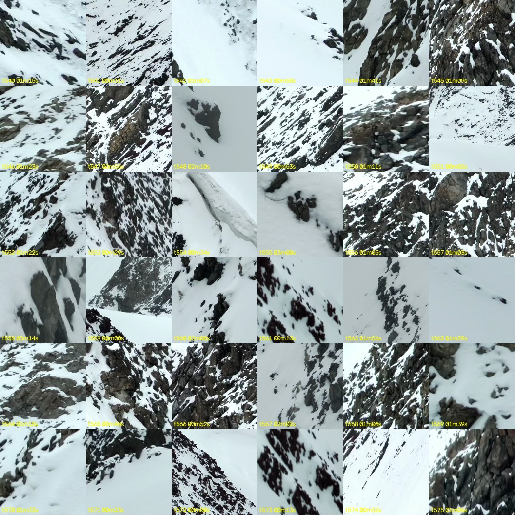 montage_15.jpg
