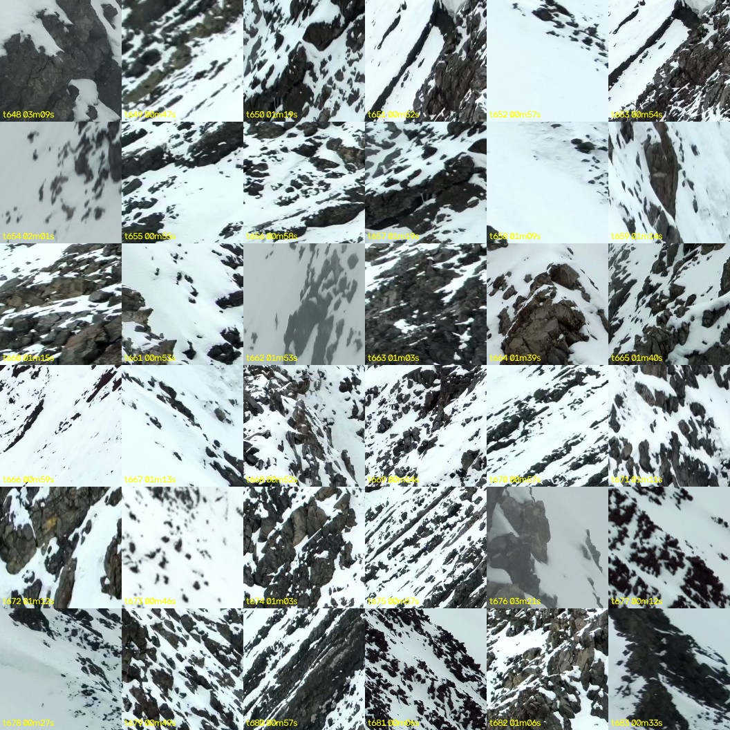 montage_18.jpg