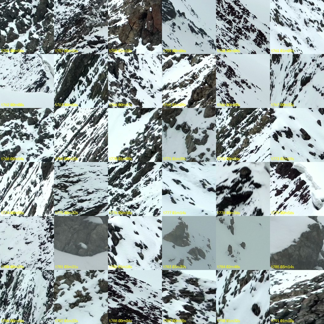 montage_21.jpg