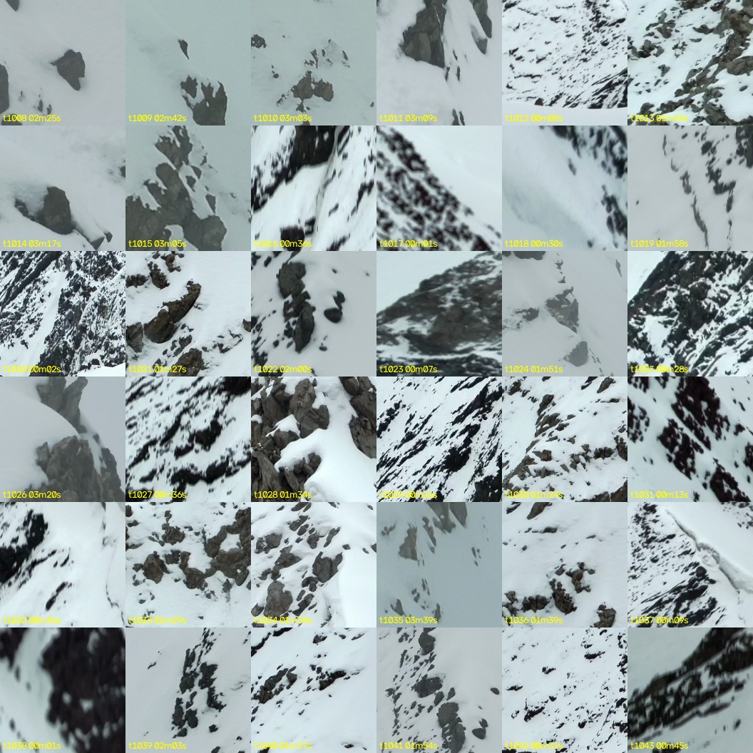 montage_28.jpg