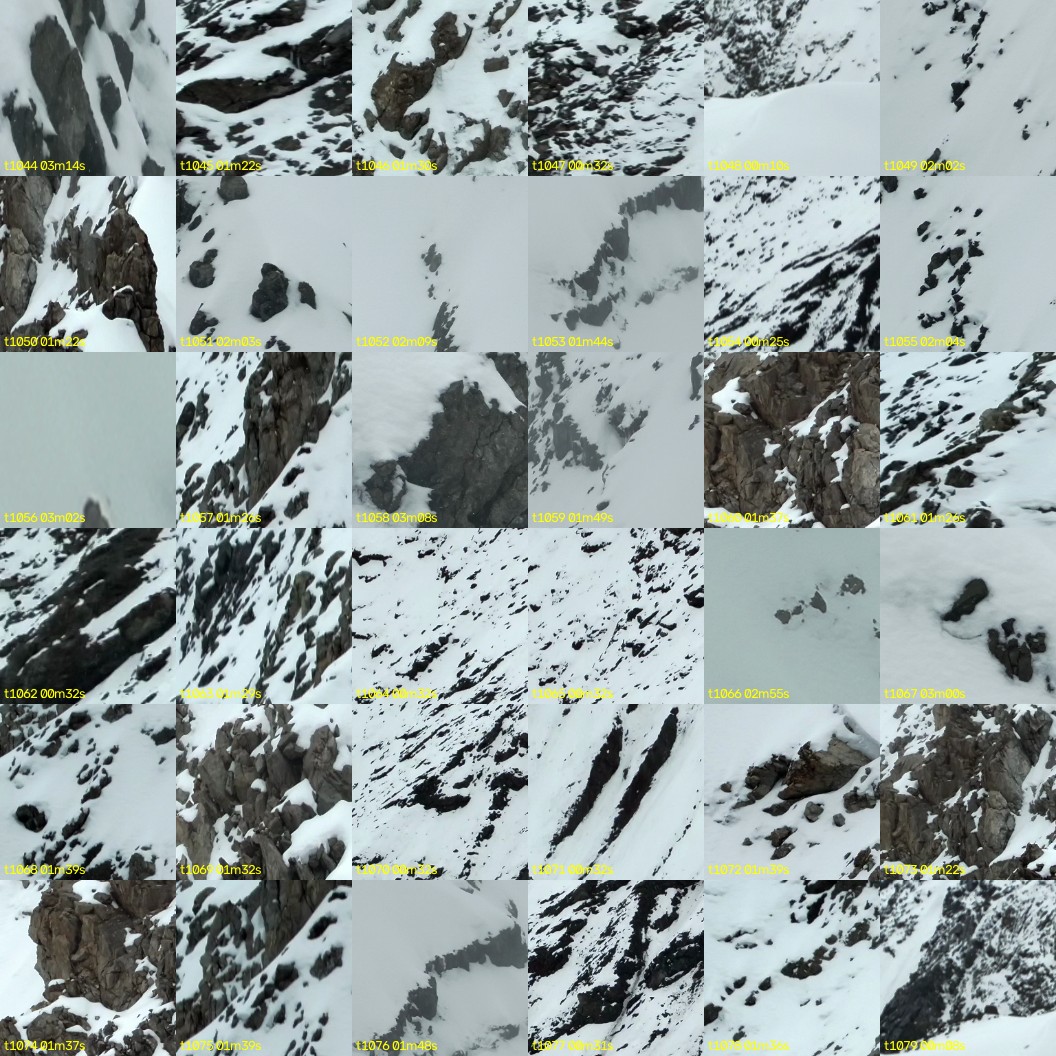montage_29.jpg