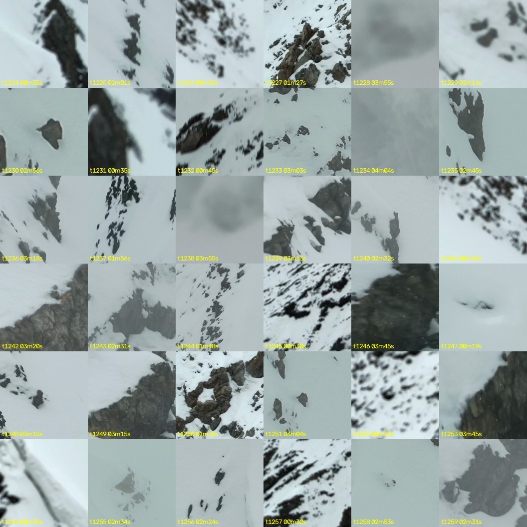 montage_34.jpg