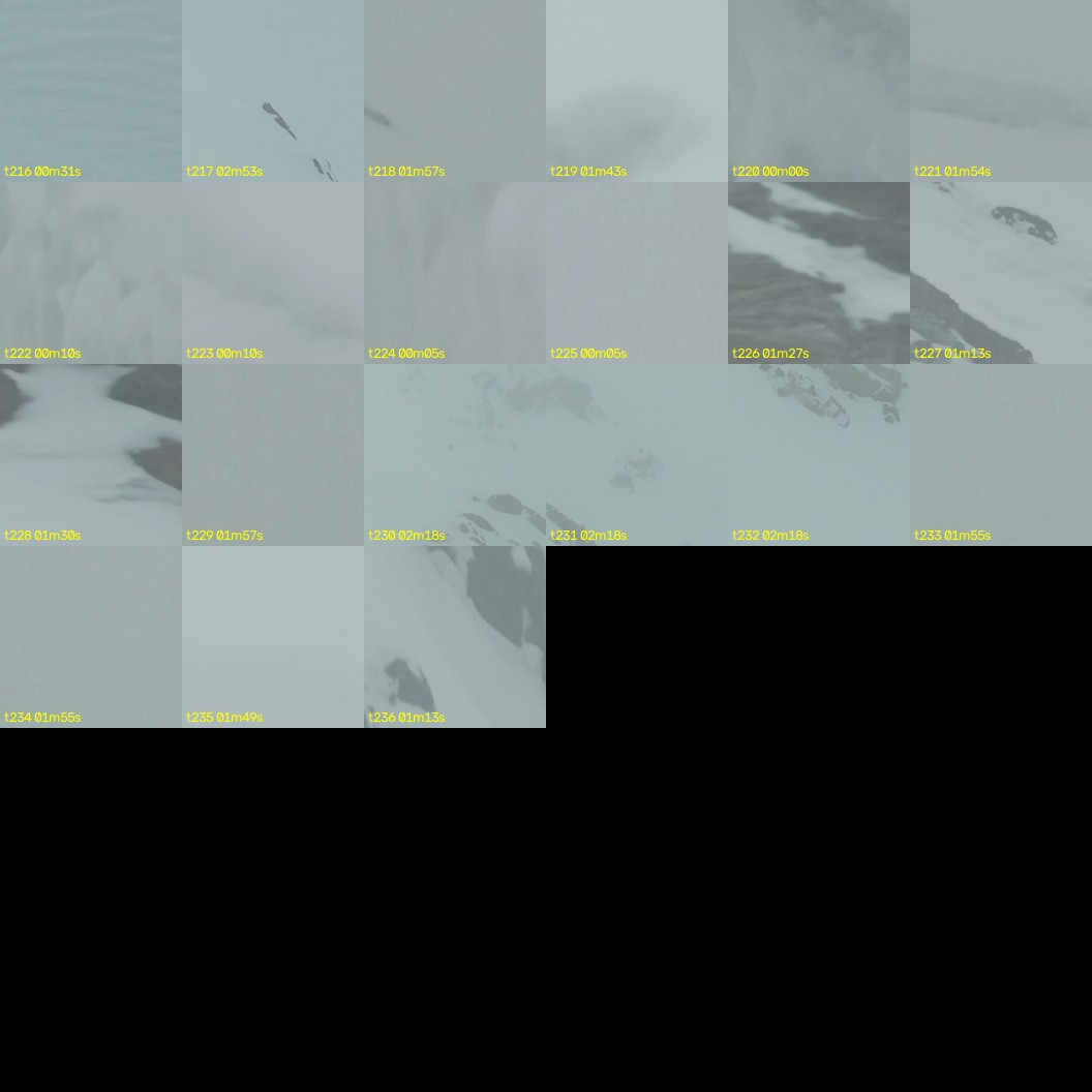 montage_06.jpg