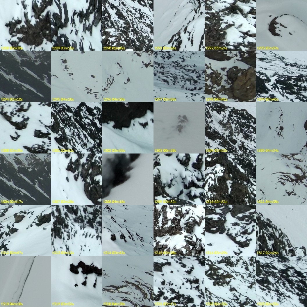 montage_08.jpg