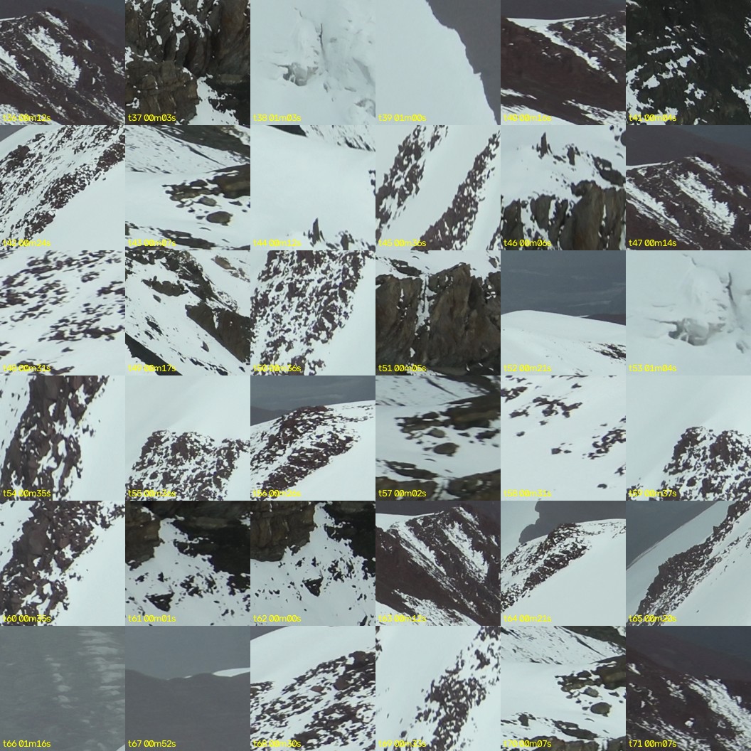montage_01.jpg