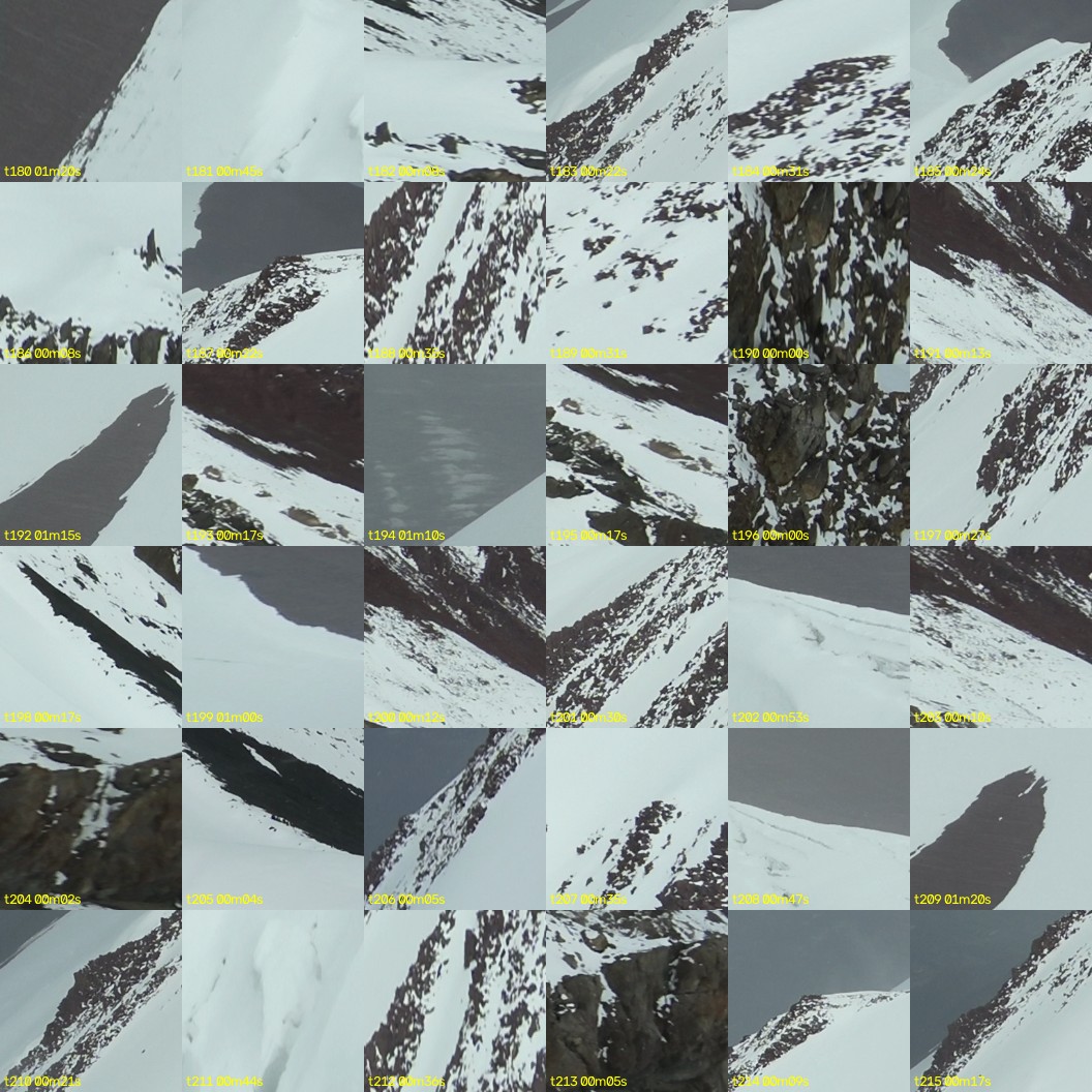 montage_05.jpg