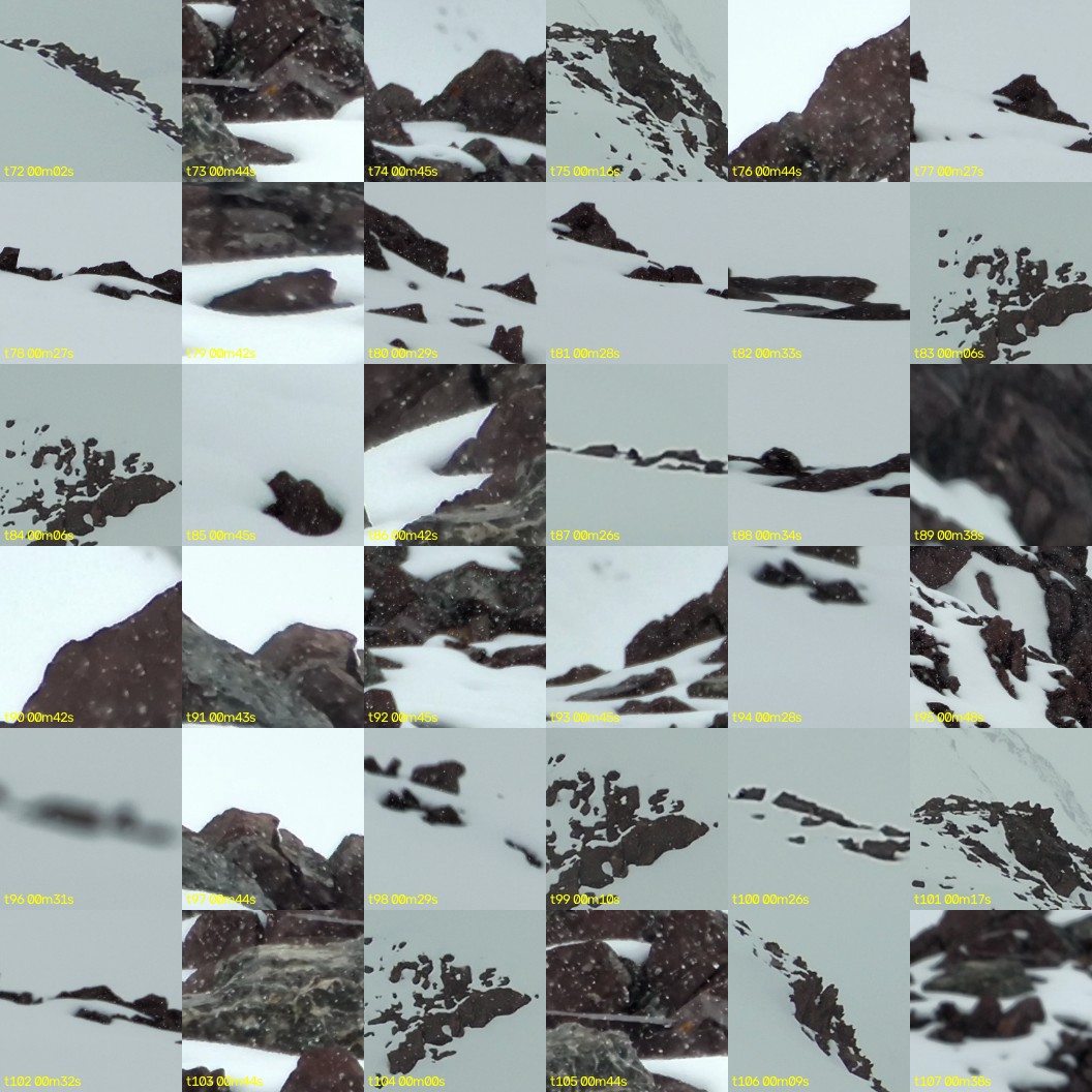 montage_02.jpg