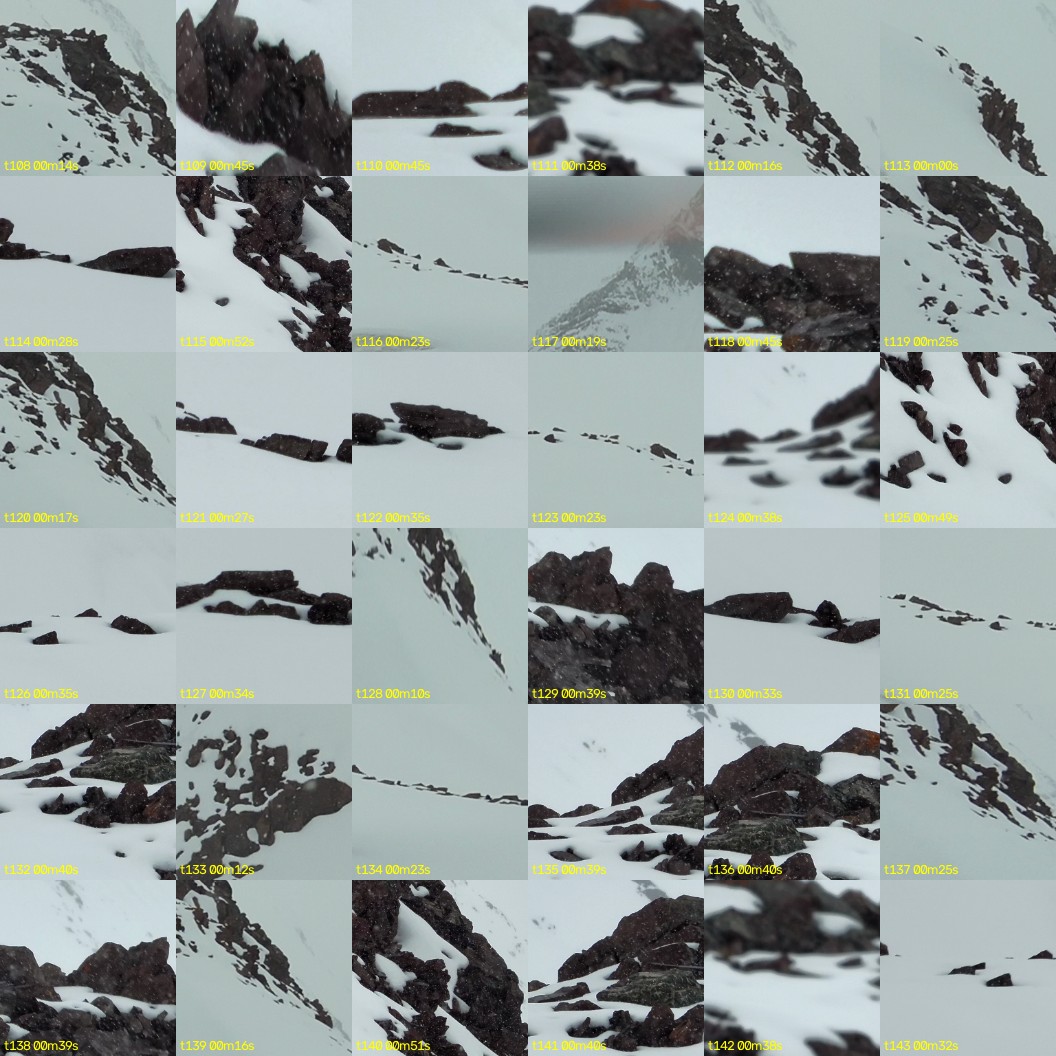 montage_03.jpg