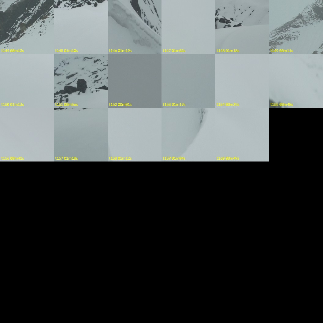 montage_04.jpg