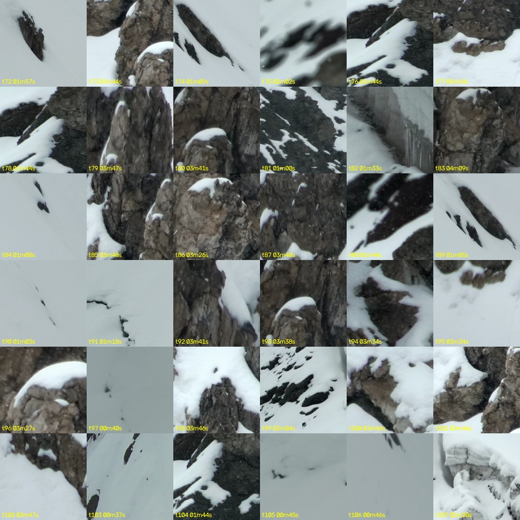 montage_02.jpg