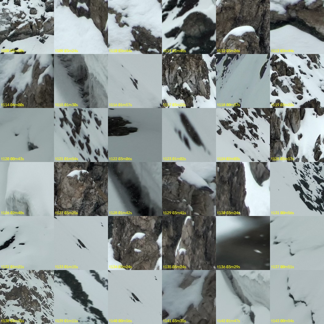 montage_03.jpg