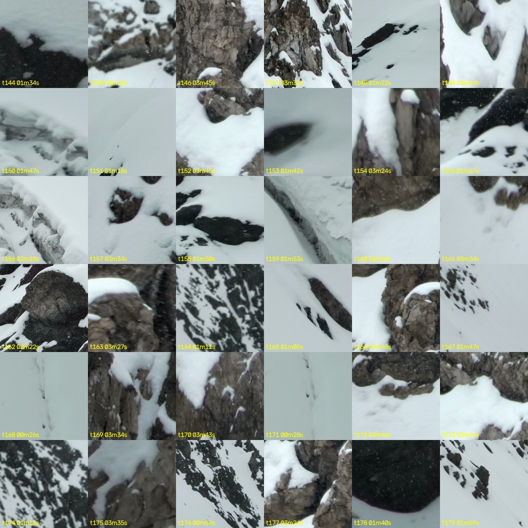 montage_04.jpg