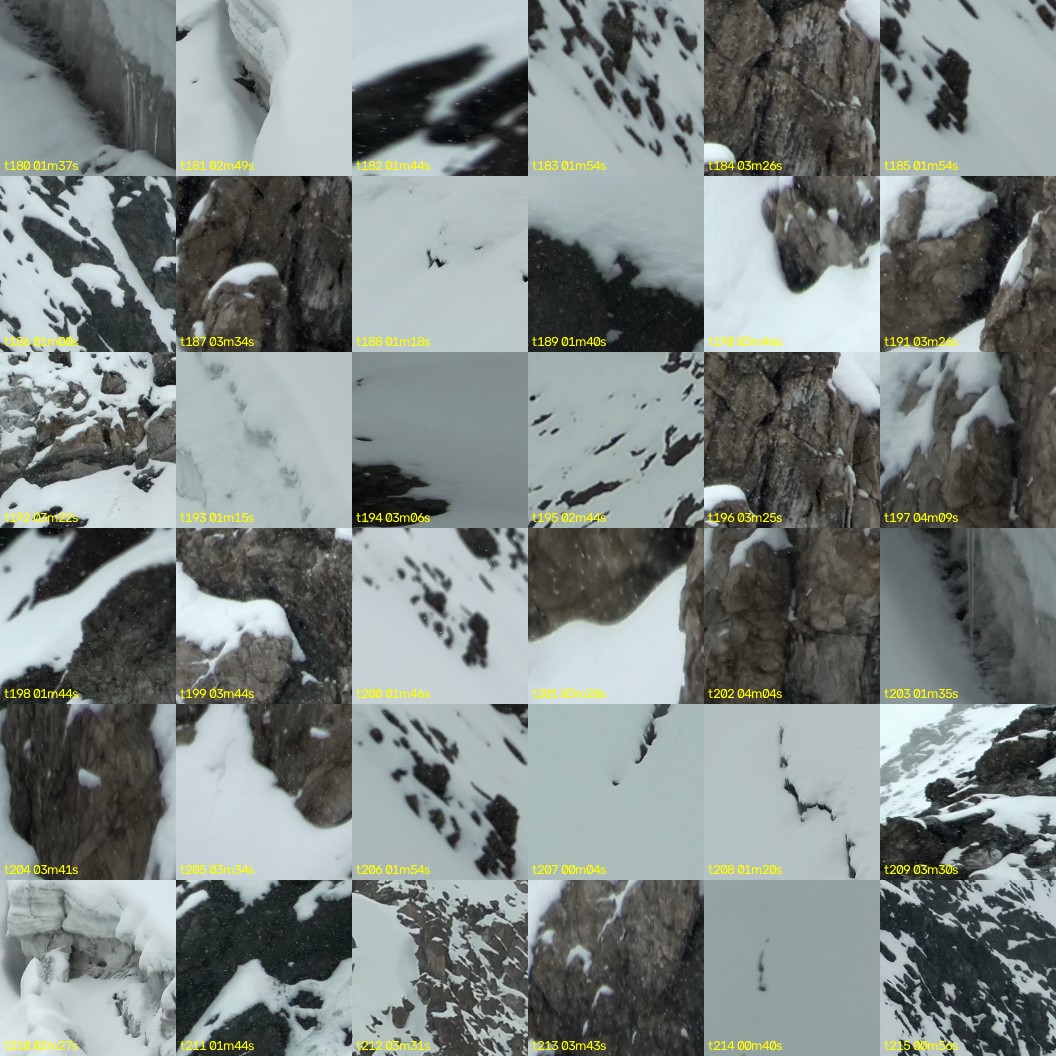 montage_05.jpg