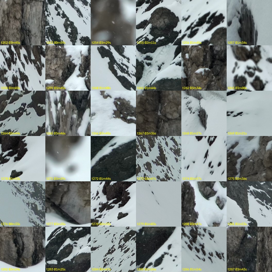 montage_07.jpg