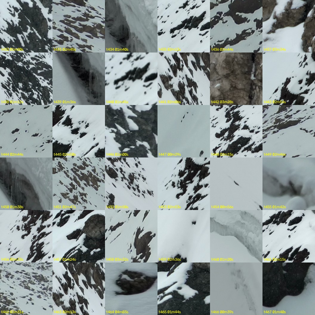 montage_12.jpg