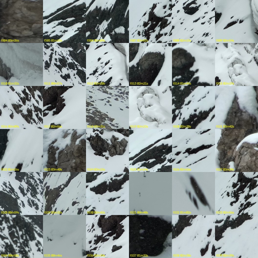 montage_14.jpg