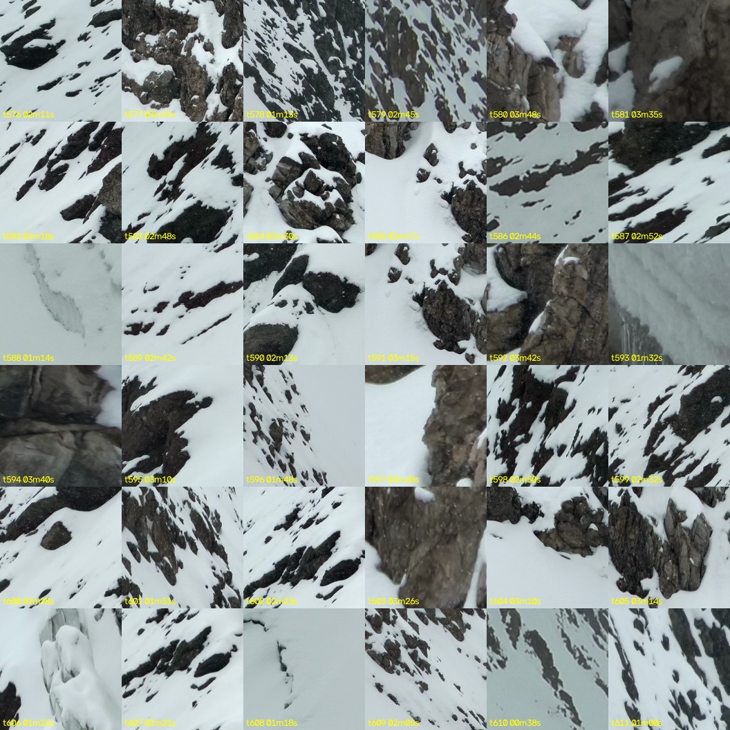 montage_16.jpg