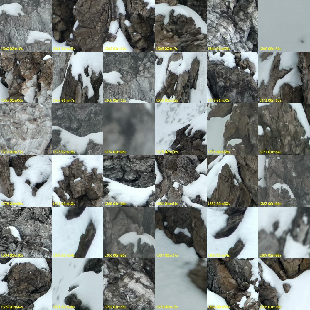 montage_10.jpg