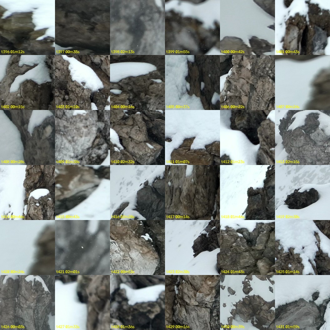 montage_11.jpg