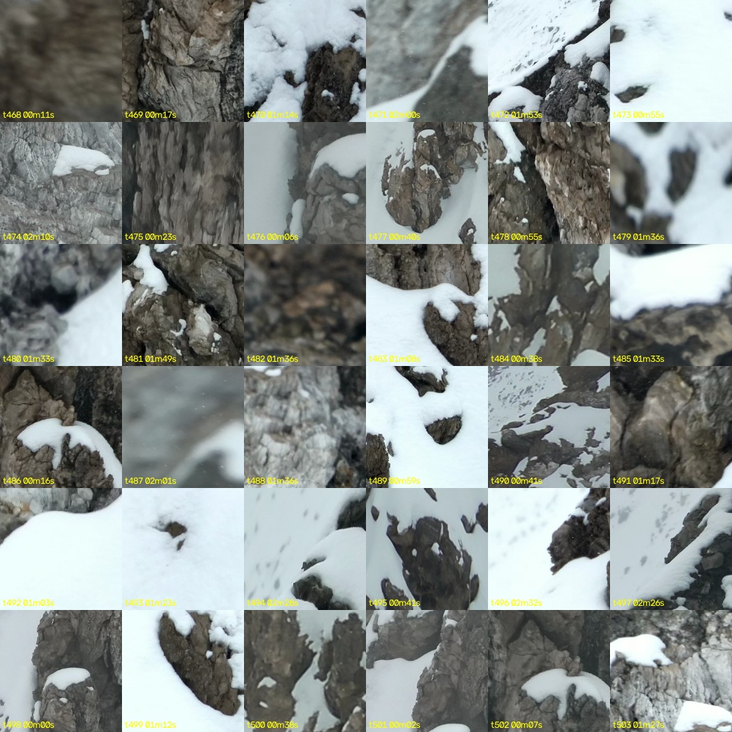 montage_13.jpg
