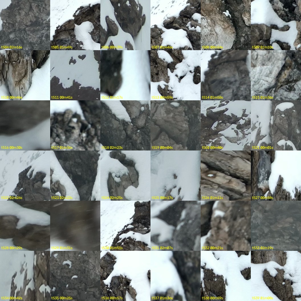 montage_14.jpg