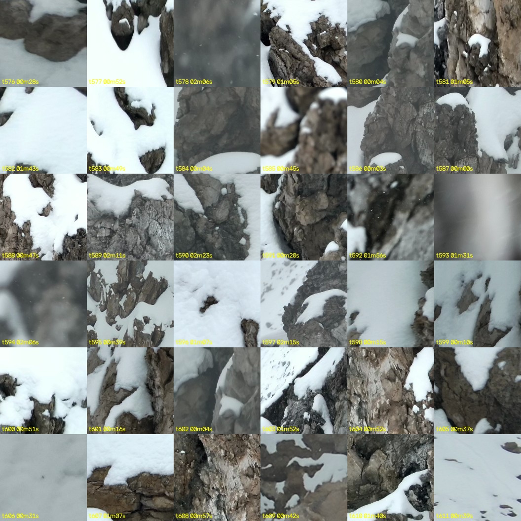 montage_16.jpg