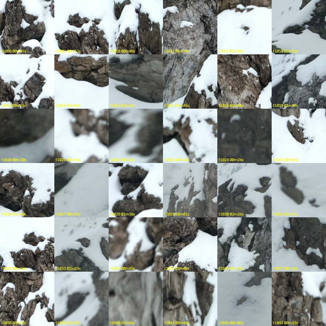 montage_28.jpg