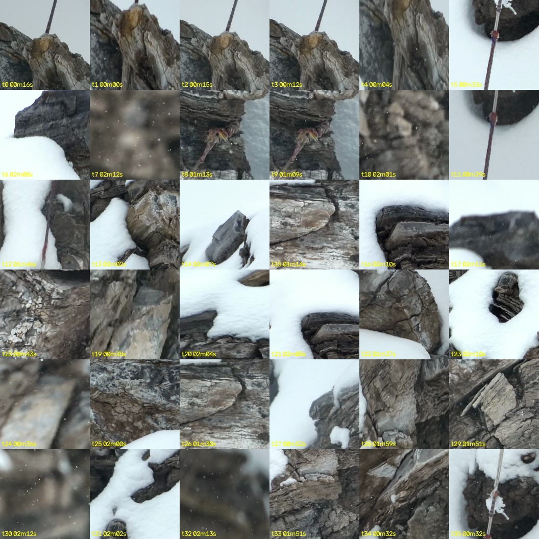 montage_00.jpg