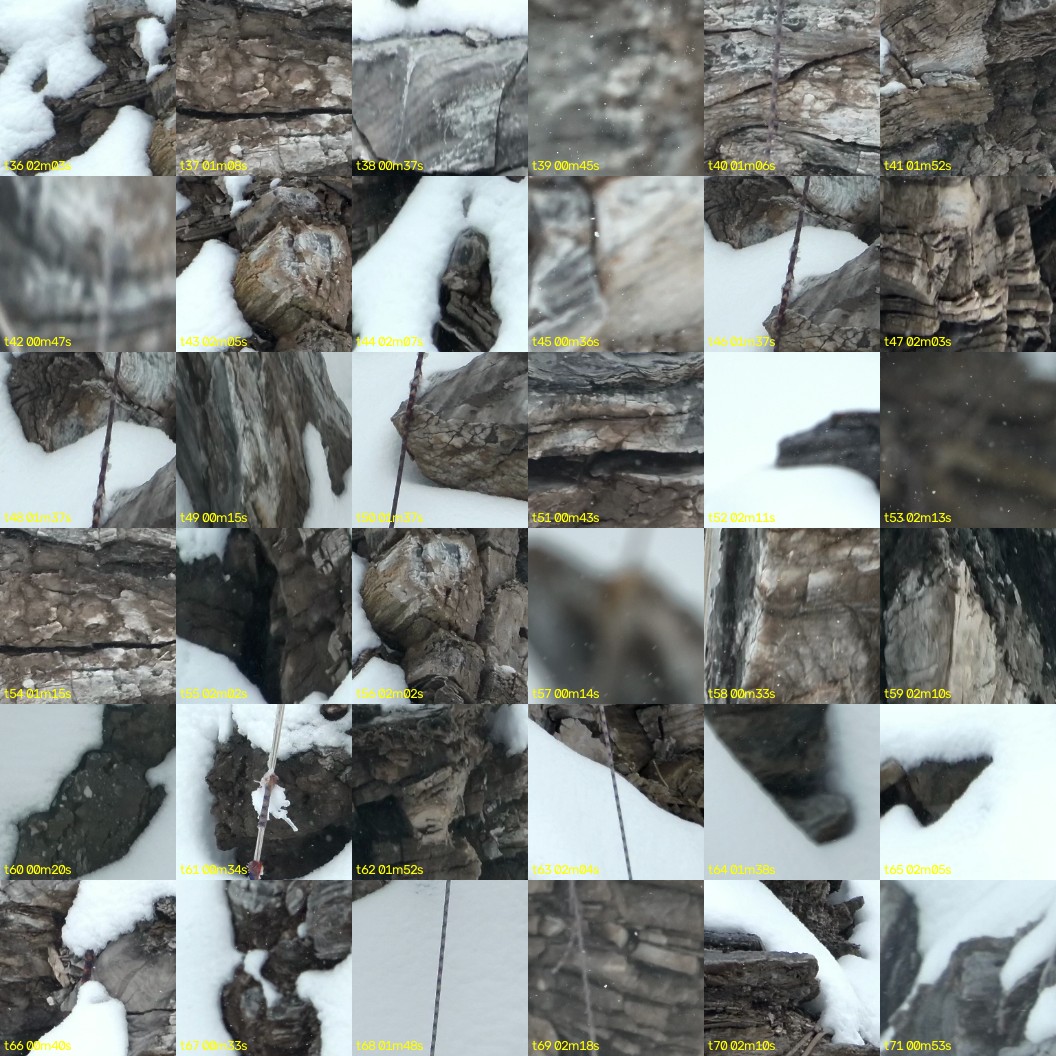 montage_01.jpg
