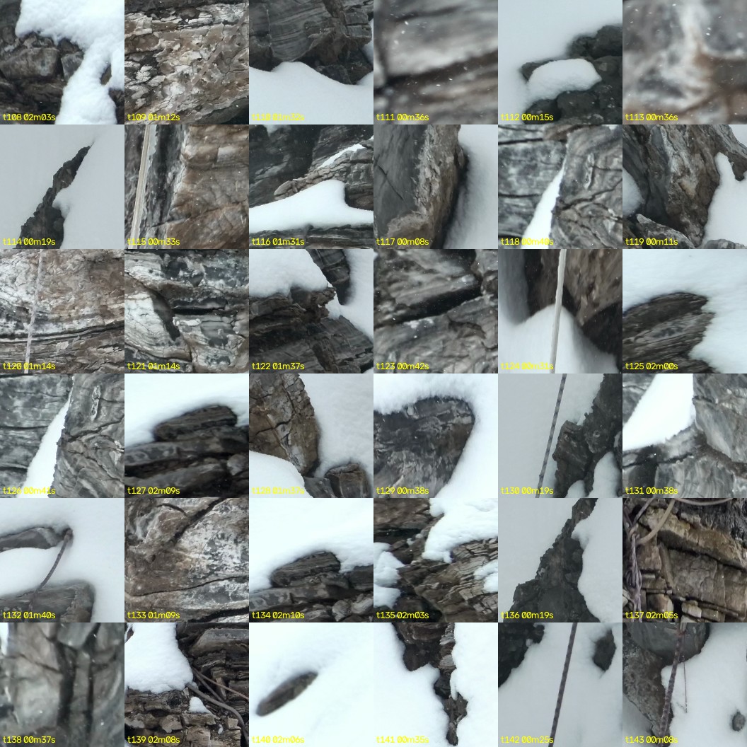 montage_03.jpg
