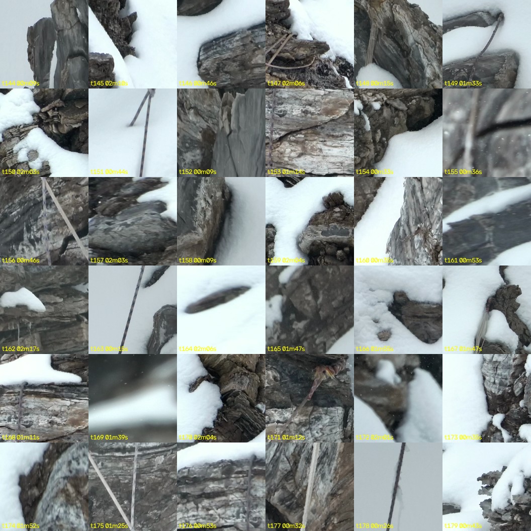 montage_04.jpg