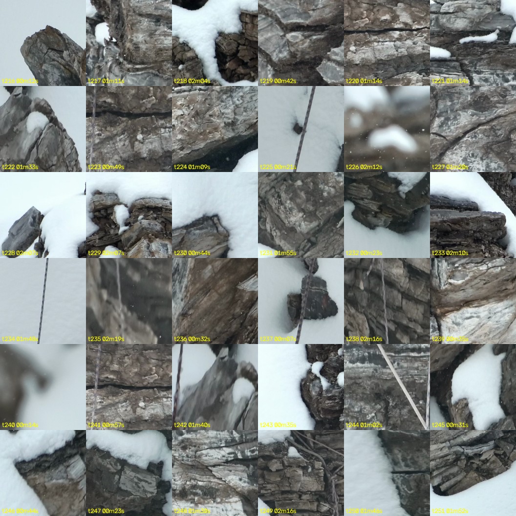 montage_06.jpg