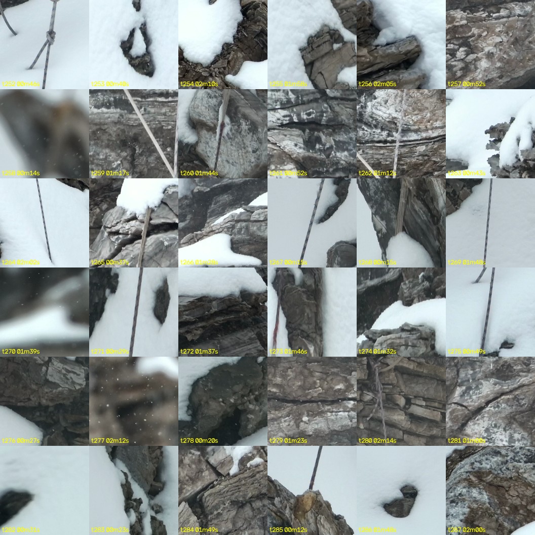 montage_07.jpg