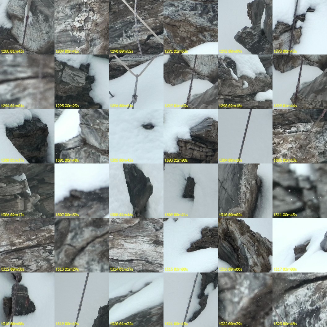 montage_08.jpg