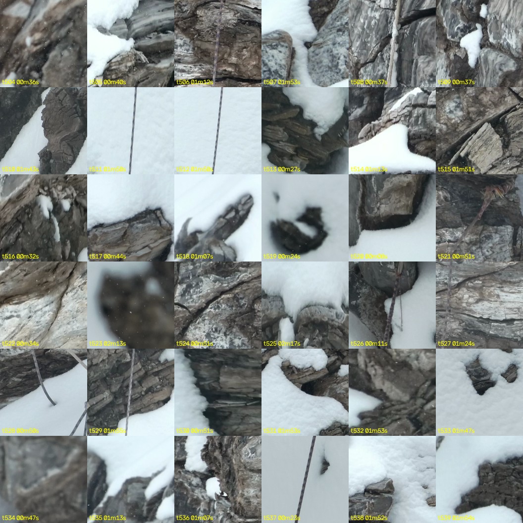 montage_14.jpg