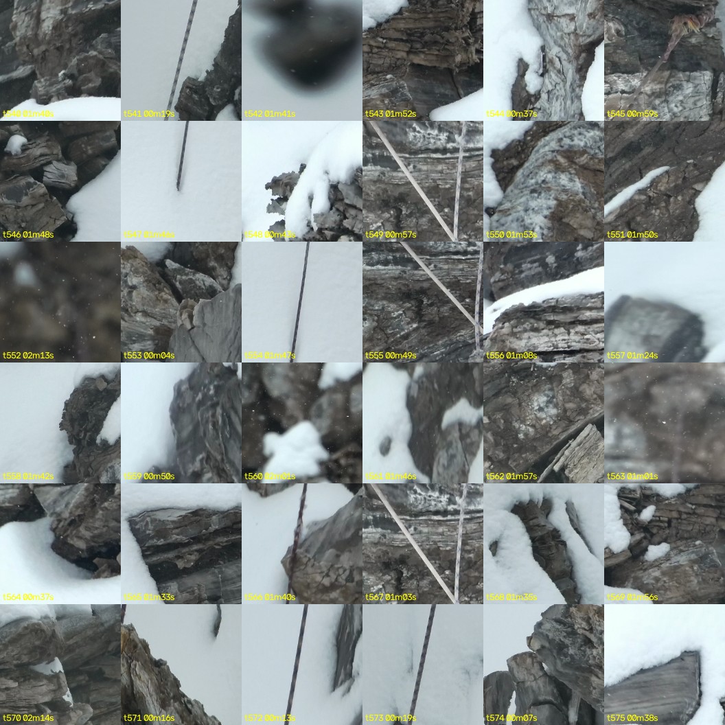 montage_15.jpg